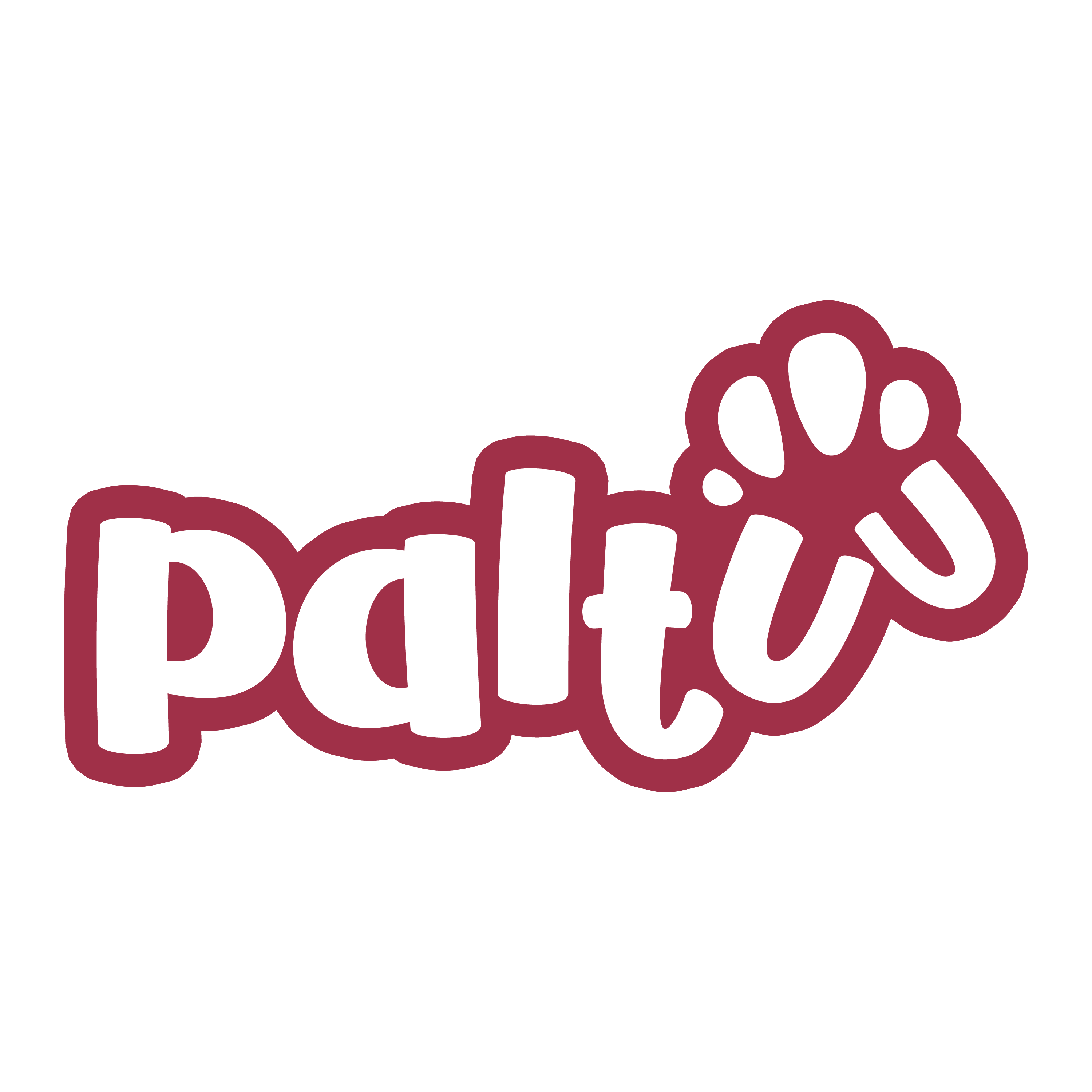 Paltuu